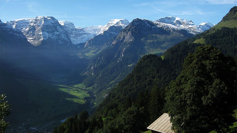 Braunwald